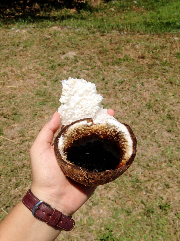 Pra começar eu tomei um café na quenga de coco, acompanhado de tapioca, bem tradicional e delicioso!